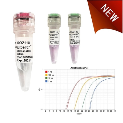 Réactif biochimique aucun vert 1000 d'Accuris QMax de réactions du mélange X 20ul de Rox QPCR