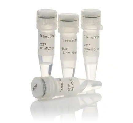 mélange de la pureté DNTP de 25mmol/L 99% 25mM pour l'usage de recherches SEULEMENT