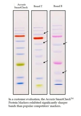 Réactif biochimique direct du marqueur 10-180kDa de protéine de Prestained de couleur de charge