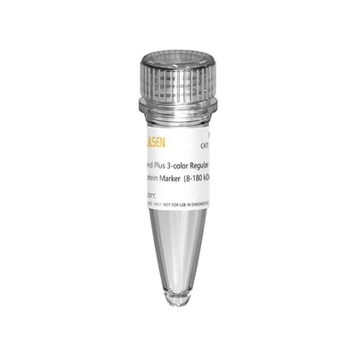 Échelle de marqueur de protéine d'III 12-190KDa Prestained pour l'électrophorèse de gel