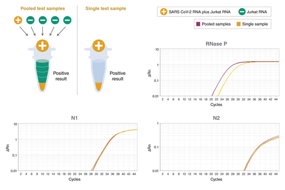 Réactif biochimique de TaqMan du multiplex QPCR de mélange universel de maître