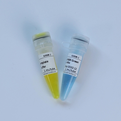 Réactif biochimique de TaqMan du multiplex QPCR de mélange universel de maître