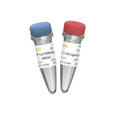 Ligase rapide d'ADN T4 de construction de bibliothèque de NGS 400 U/UL pour l'usage de recherches SEULEMENT