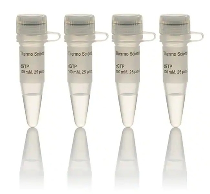 Le réactif biochimique 100 le millimètre DNTP a placé la solution DATP DCTP DTTP DGTP
