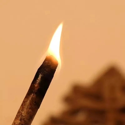 Économie d'énergie professionnelle de granule de bois de chauffage de biomasse de système de chauffage