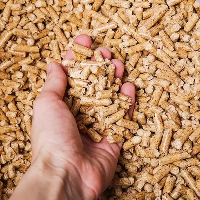Pollution en bois de particules de brûleur de biomasse d'humidité faible de briquette libre