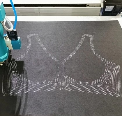 Fonte chaude à grande vitesse de Jelly Glue Dispensing Machine Silicone de sous-vêtements